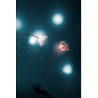 Подвесной светильник Slamp Poppy 14