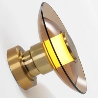 Настенный/Потолочный светильник Delight Collection 8665W/S gold/amber