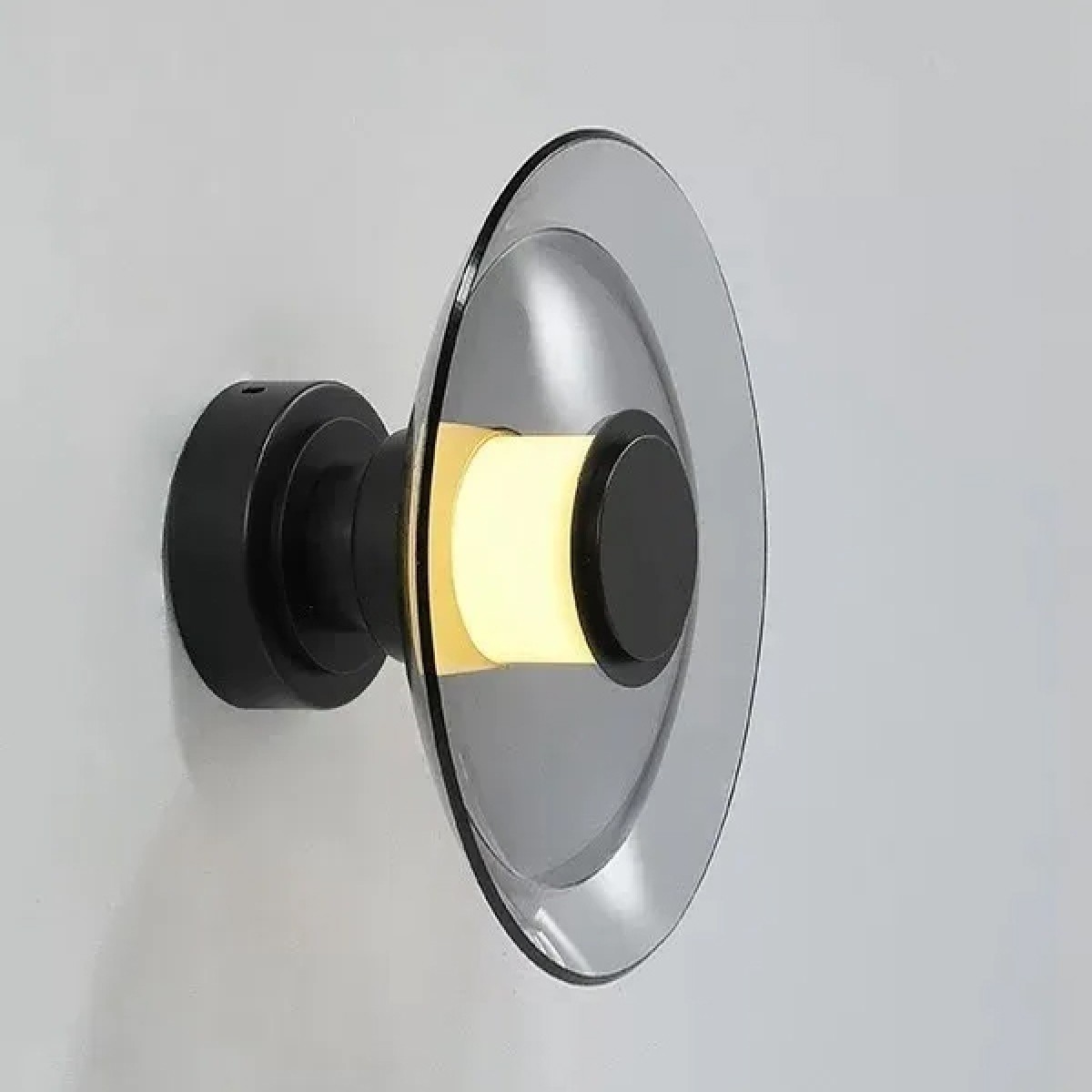 Настенный/Потолочный светильник Delight Collection 8665W/L black/smoky