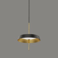 Подвесной светильник Delight Collection MD18001061-1A black/gold