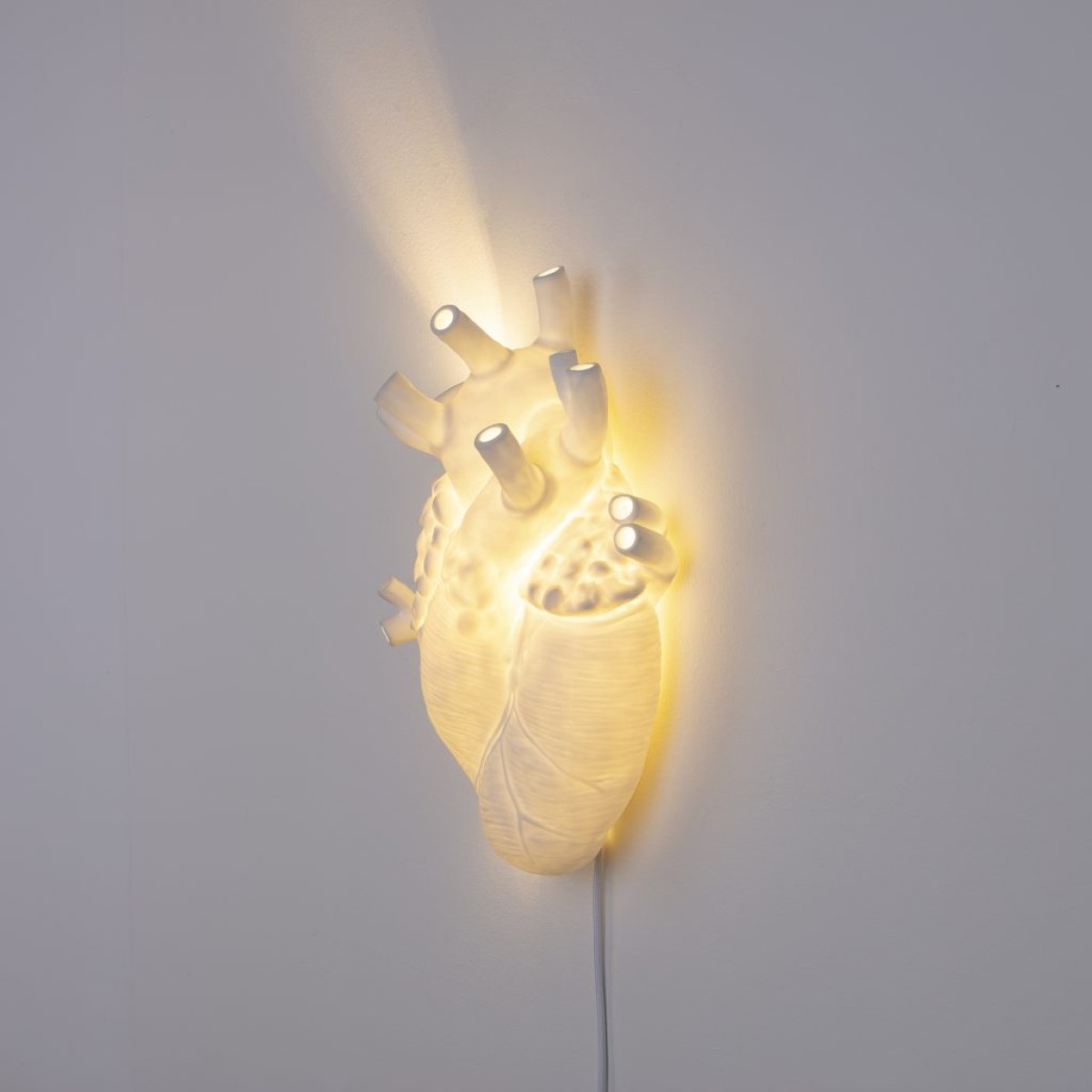 Настенный светильник Seletti Love in Bloom Heart Lamp