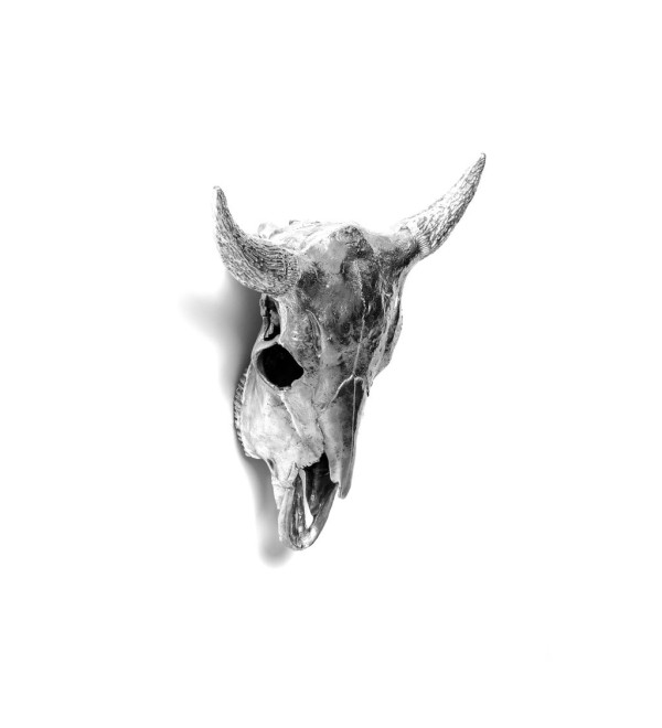 Статуэтка Seletti Wunderkammer Bison Skull