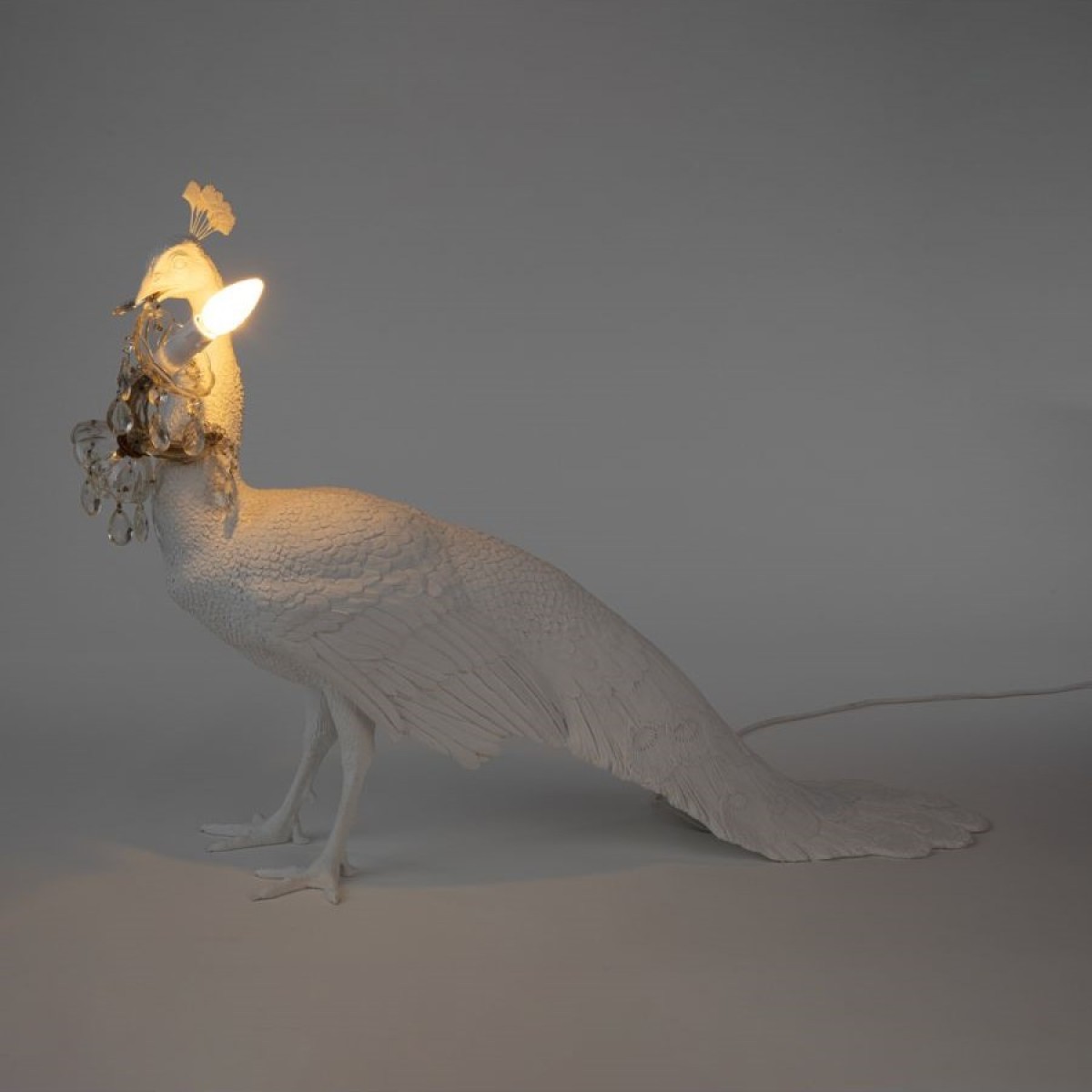 Напольный светильник Seletti Peacock