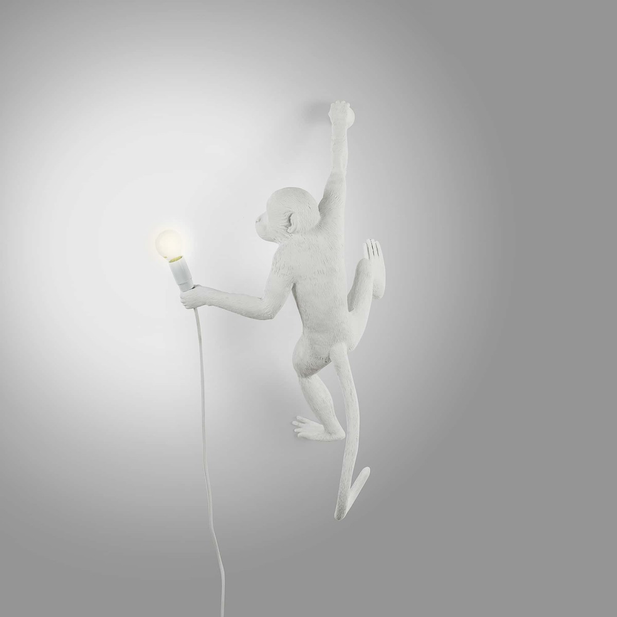 Настенный светильник Seletti Monkey Lamp Hanging Right