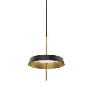 Подвесной светильник Delight Collection MD18001061-1A black/gold