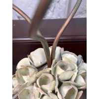 Настольная лампа MM Lampadari Roseto 6213/L3 V1909