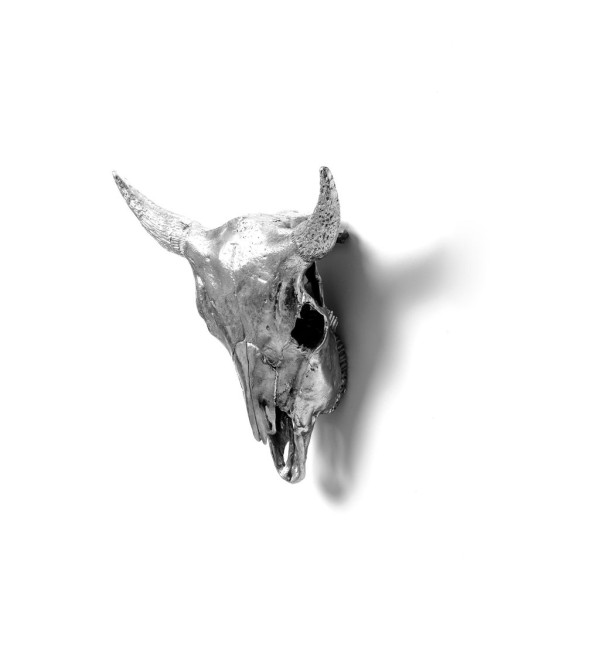 Статуэтка Seletti Wunderkammer Bison Skull