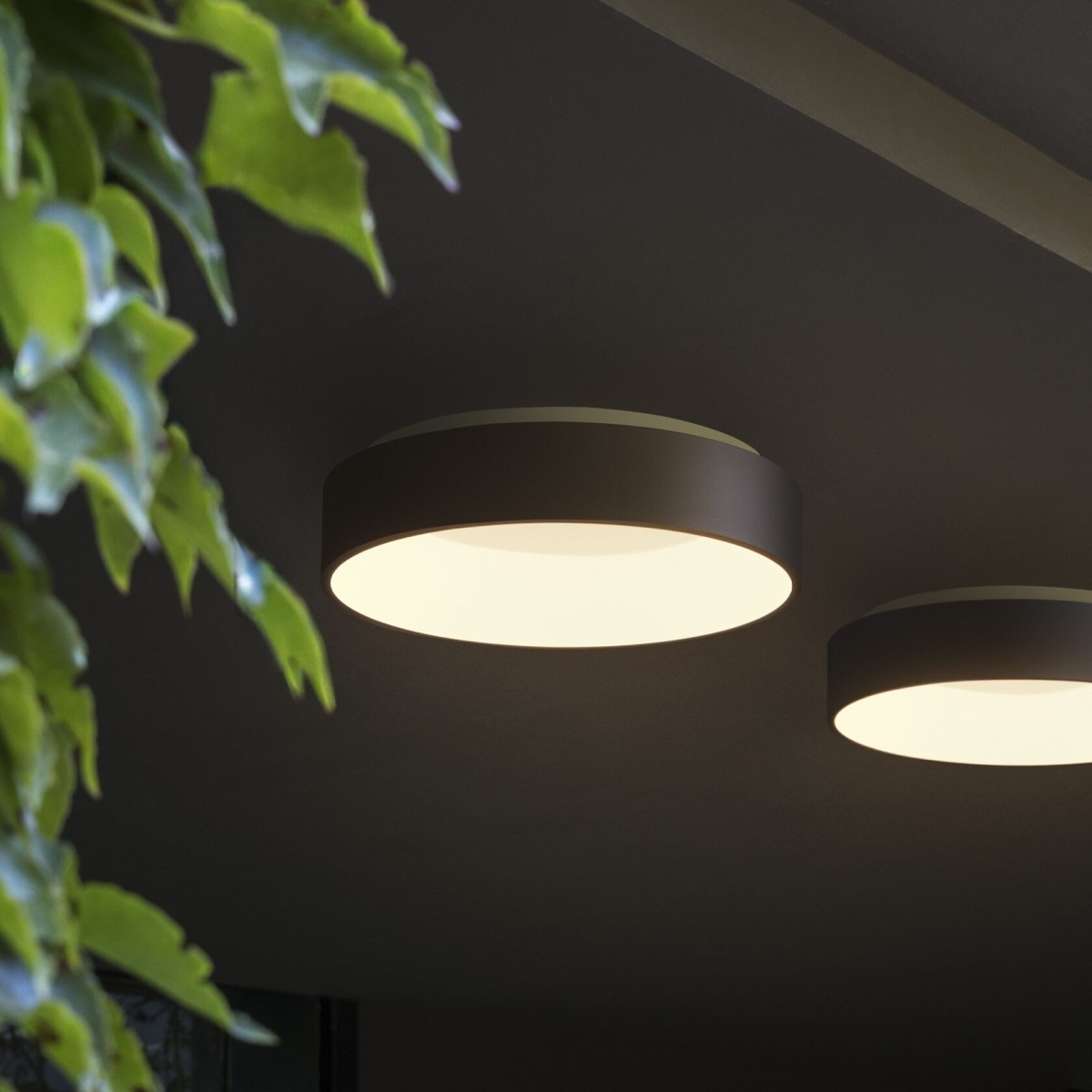 Светильник потолочный Ideal Lux Ziggy PL D060 LED Черный 3000К 307213