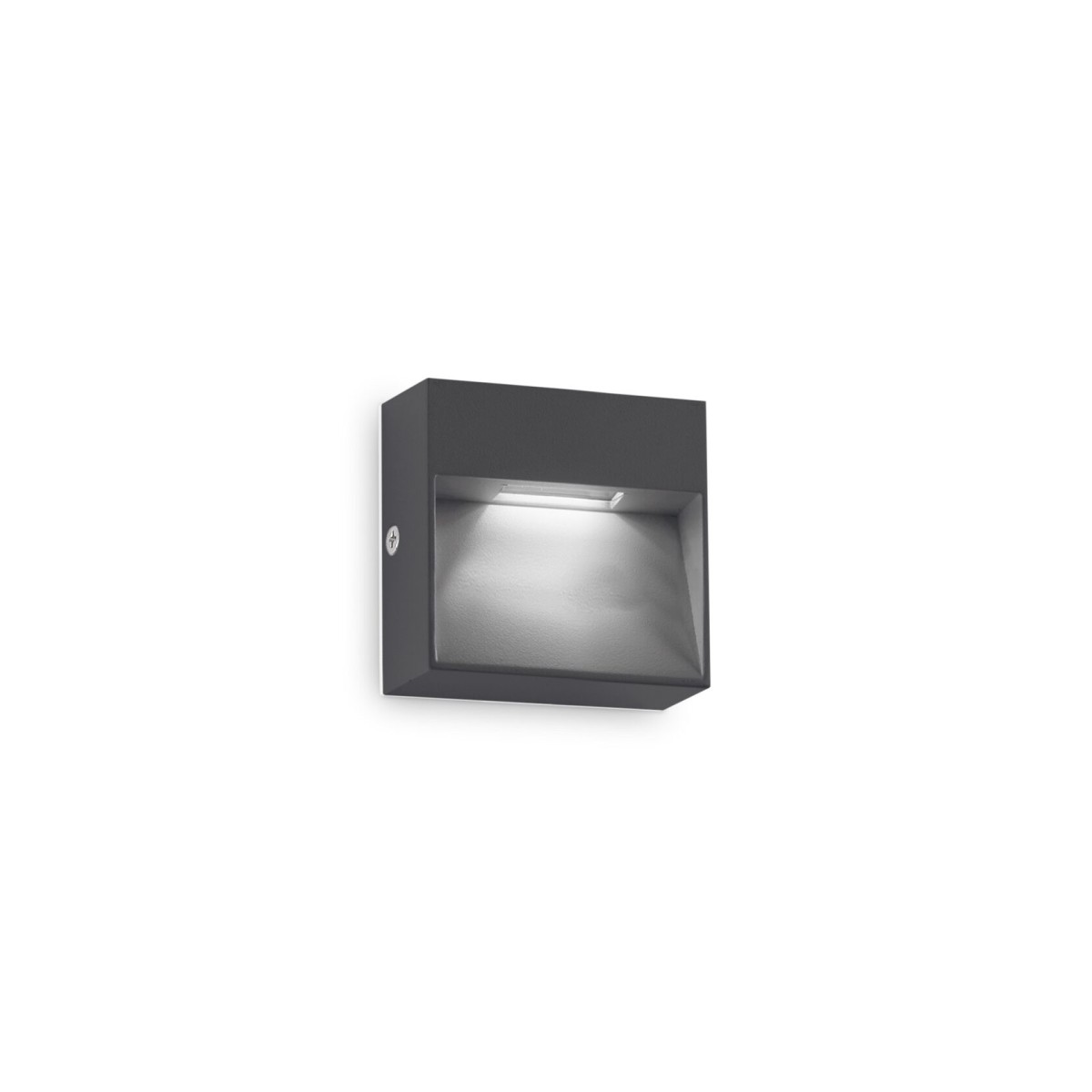 Светильник уличный Ideal Lux Dedra AP Big Антрацит 3000К 316871