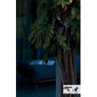 Прожектор садовый Ideal Lux Koala PR 7W Con Picchetto D24V Черный LED 3000К 331386