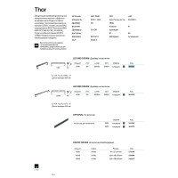 Светильник ландшафтный направленный Ideal Lux Thor PR D100 24 V DС Антрацит LED 261355