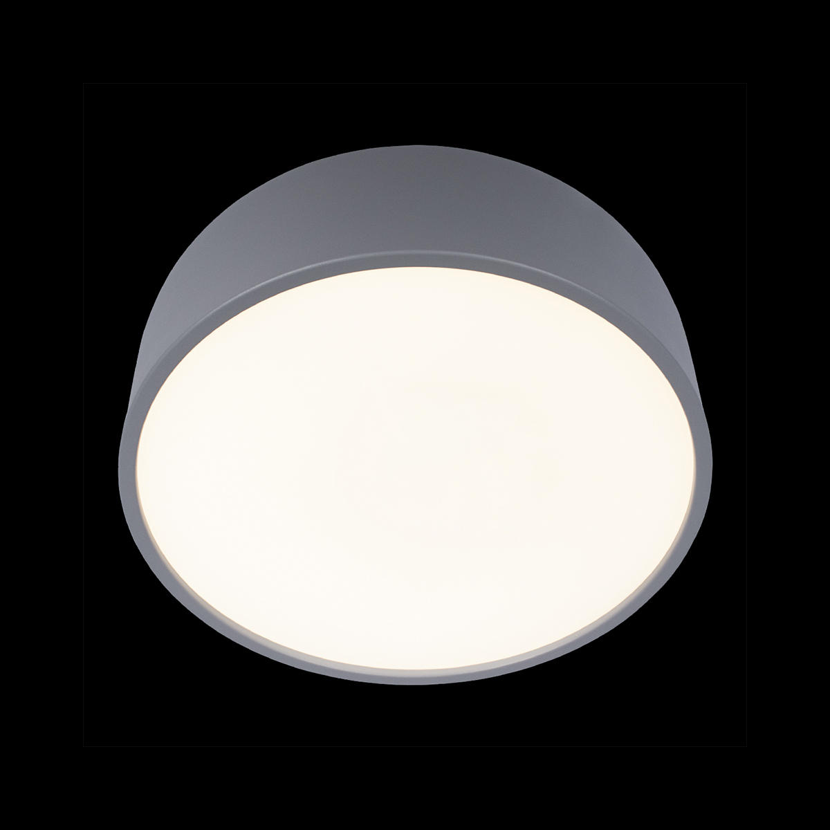 Потолочный светильник LOFT IT Axel 10201/350 Grey