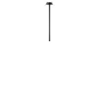 Потолочный светильник LOFT IT Cane 10359/500 Black