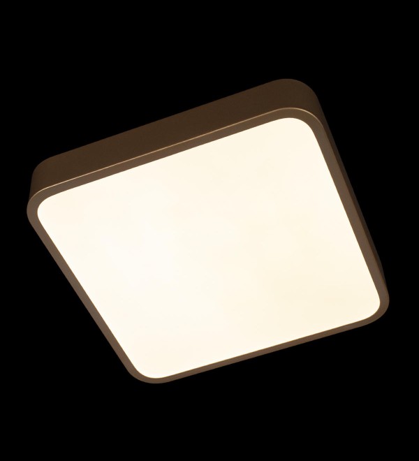 Потолочный светильник LOFT IT Flims 10228/C
