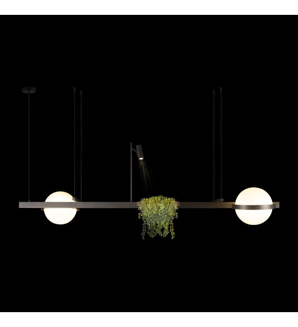 Подвесной светильник LOFT IT Jardin 10121/D Dark grey