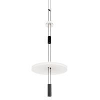 Подвесной светильник LOFT IT Flamingo 10598B