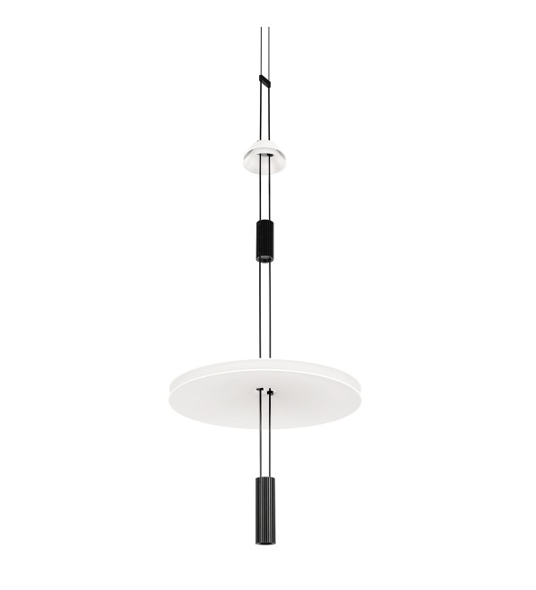 Подвесной светильник LOFT IT Flamingo 10598B
