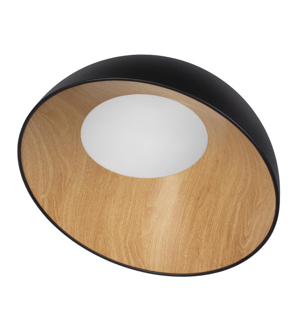 Потолочный светильник LOFT IT Egg 10197/500 Black