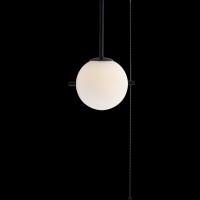 Светильник на штанге LOFT IT Signal 10029PS Black