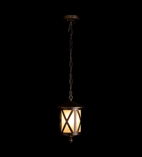 Уличный подвесной светильник LOFT IT Ravenna 100016P