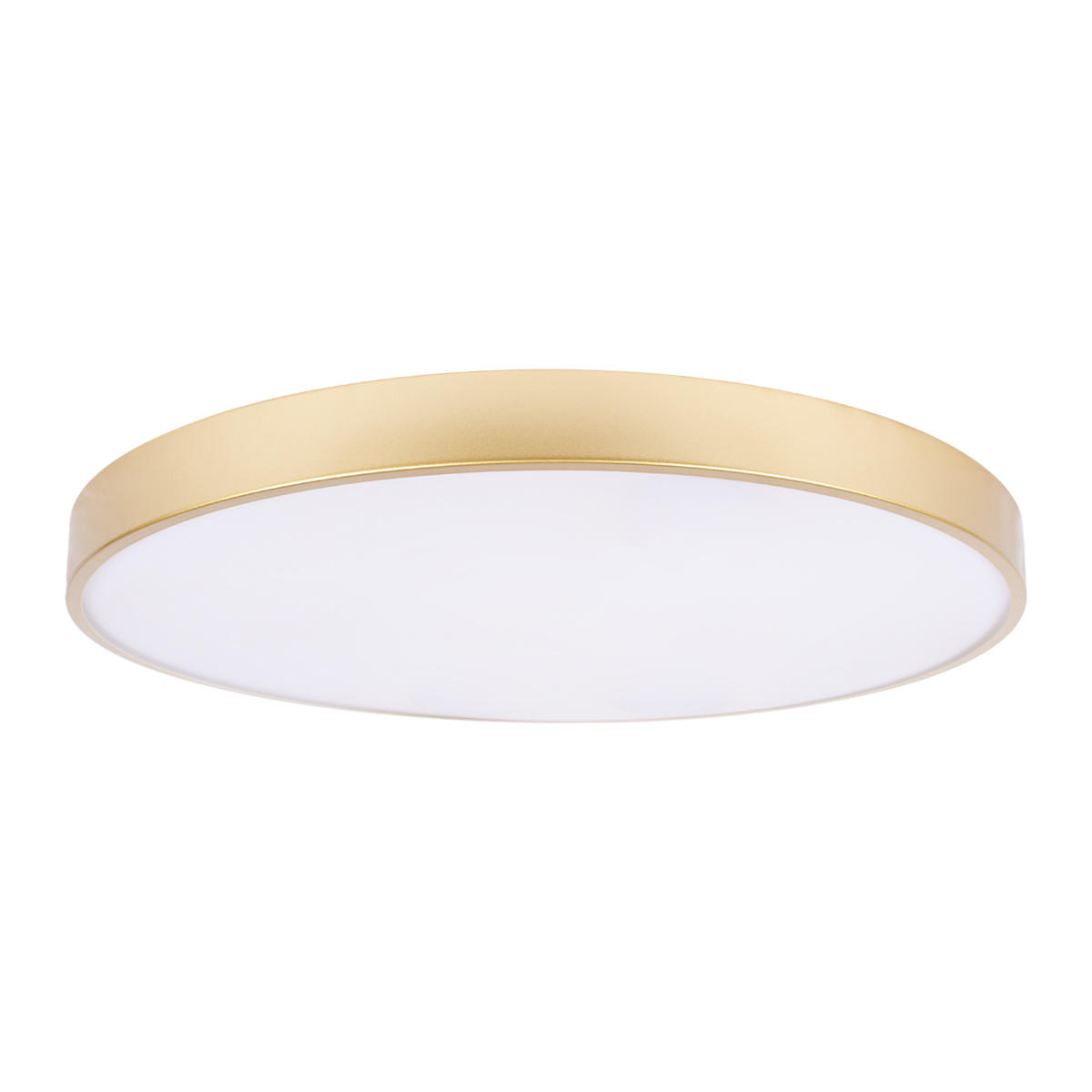 Потолочный светильник LOFT IT Flims 10228/B