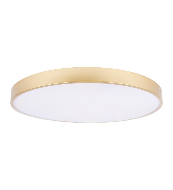 Потолочный светильник LOFT IT Flims 10228/B