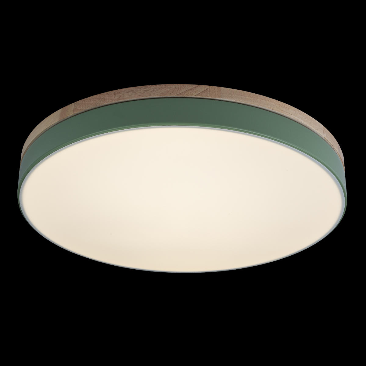 Потолочный светильник LOFT IT Axel 10001/36 Green