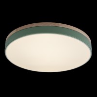 Потолочный светильник LOFT IT Axel 10001/36 Green