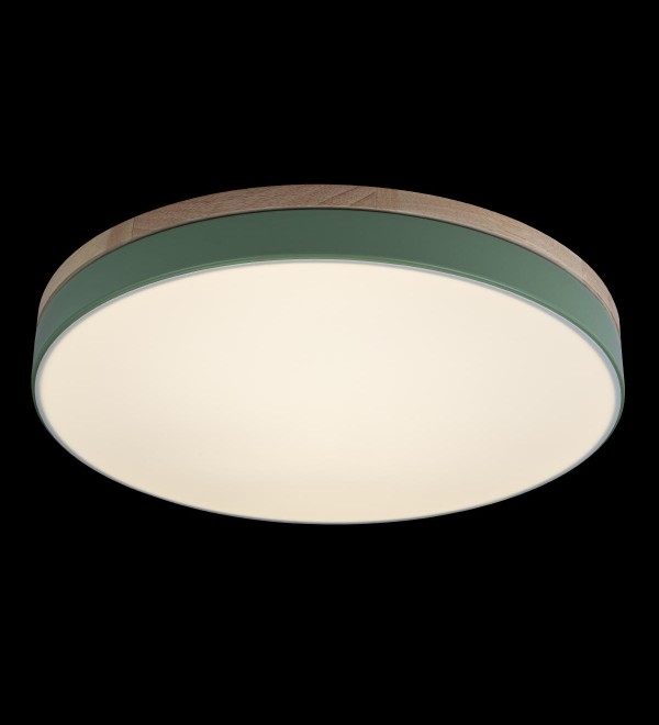 Потолочный светильник LOFT IT Axel 10001/36 Green