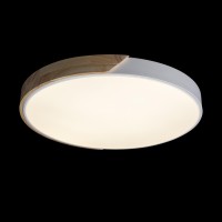Потолочный светильник LOFT IT Axel 10004/36 White