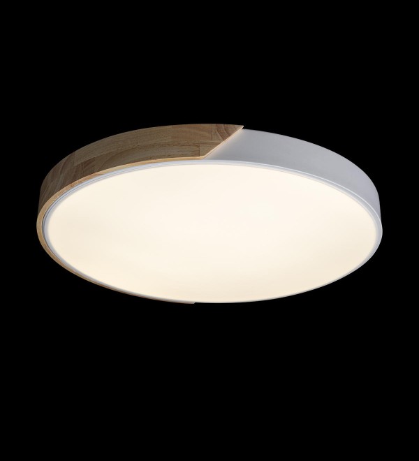 Потолочный светильник LOFT IT Axel 10004/36 White