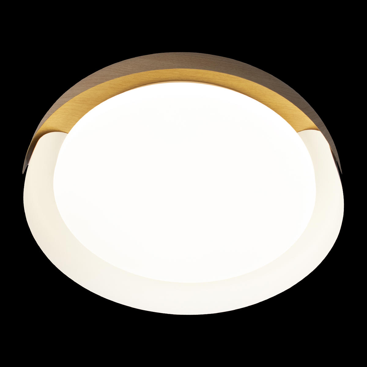 Потолочный светильник LOFT IT Coin 10198 White