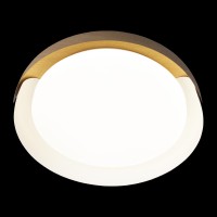 Потолочный светильник LOFT IT Coin 10198 White