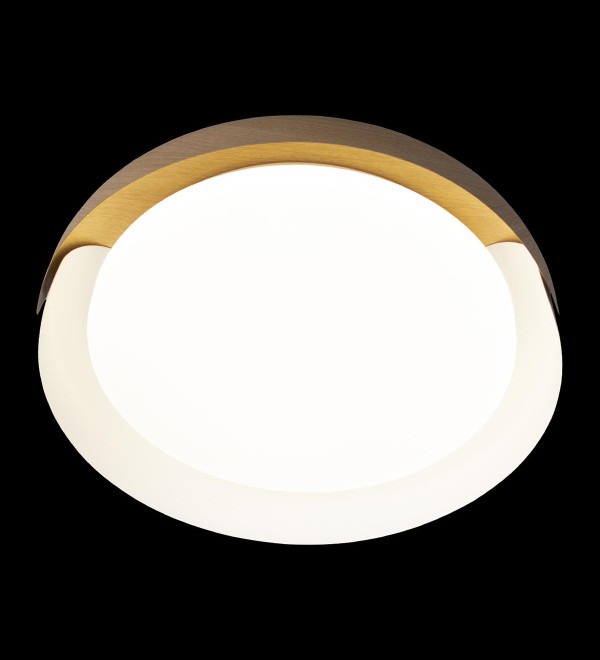 Потолочный светильник LOFT IT Coin 10198 White