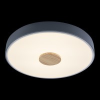 Потолочный светильник LOFT IT Axel 10003/24 Grey