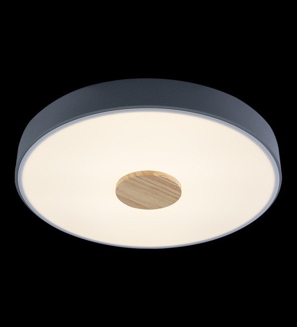 Потолочный светильник LOFT IT Axel 10003/24 Grey