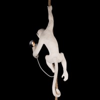 Подвесной светильник LOFT IT Monkey 10314P