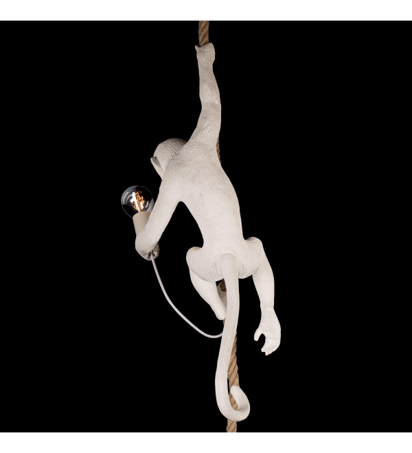 Подвесной светильник LOFT IT Monkey 10314P