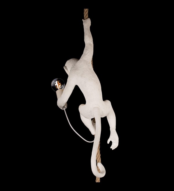 Подвесной светильник LOFT IT Monkey 10314P