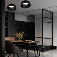 Потолочный светильник LOFT IT Egg 10197/500 BB