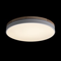 Потолочный светильник LOFT IT Axel 10001/36 White