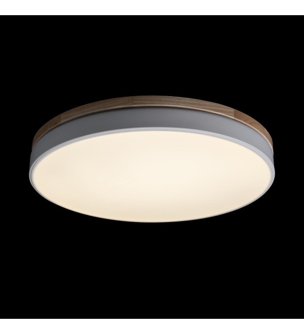 Потолочный светильник LOFT IT Axel 10001/36 White