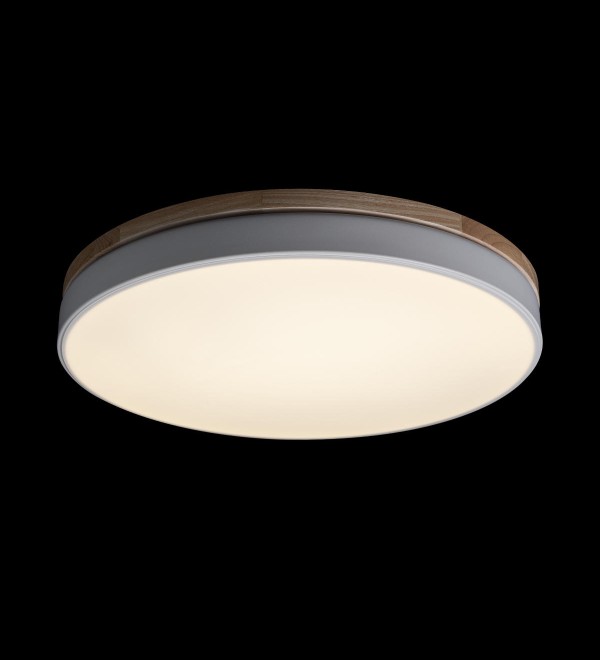 Потолочный светильник LOFT IT Axel 10001/36 White
