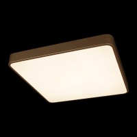 Потолочный светильник LOFT IT Flims 10228/D