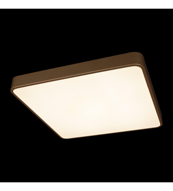 Потолочный светильник LOFT IT Flims 10228/D