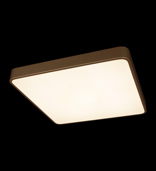 Потолочный светильник LOFT IT Flims 10228/D