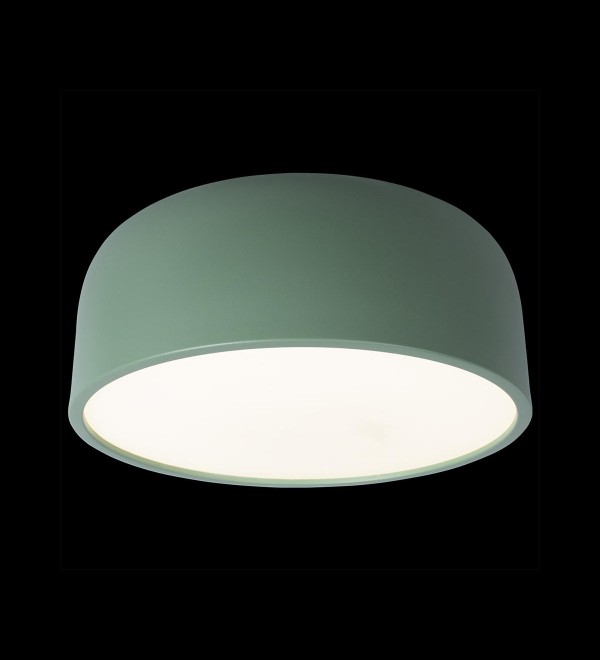 Потолочный светильник LOFT IT Axel 10201/350 Green