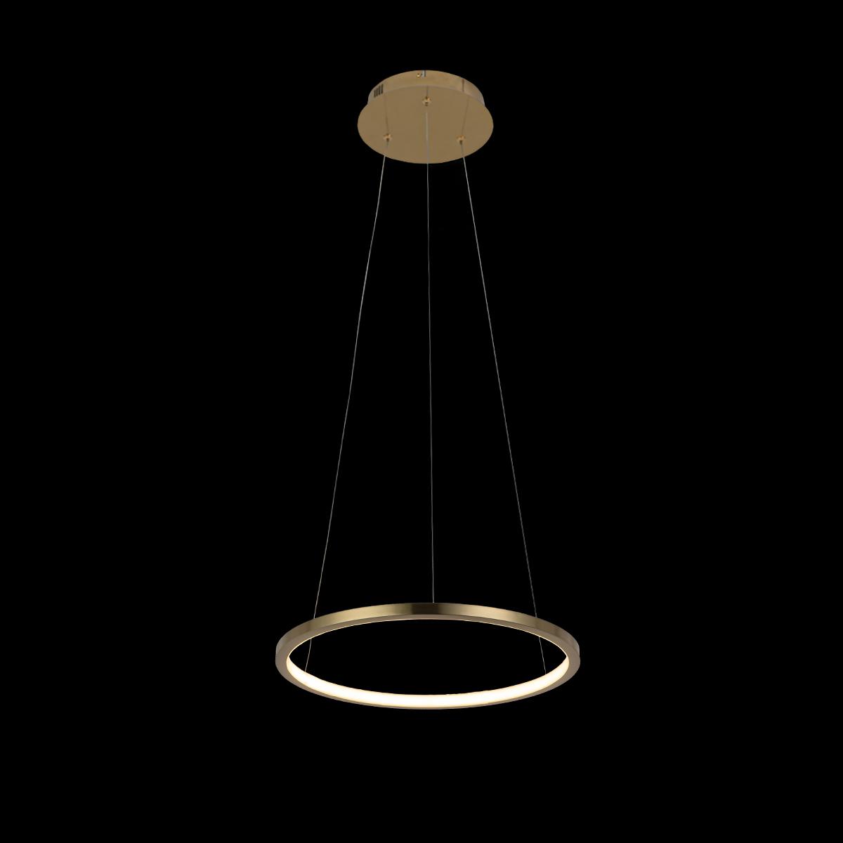 Подвесной светильник LOFT IT Ring 10014S
