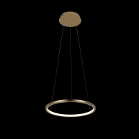 Подвесной светильник LOFT IT Ring 10014S