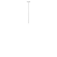 Потолочный светильник LOFT IT Cane 10359/500 White